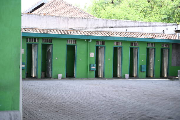 Best Sanitation services for porta potties  in Palm Harbor, FL